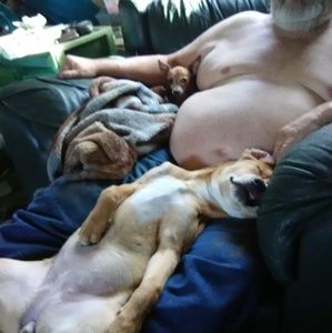 Meet your Posher, Lee